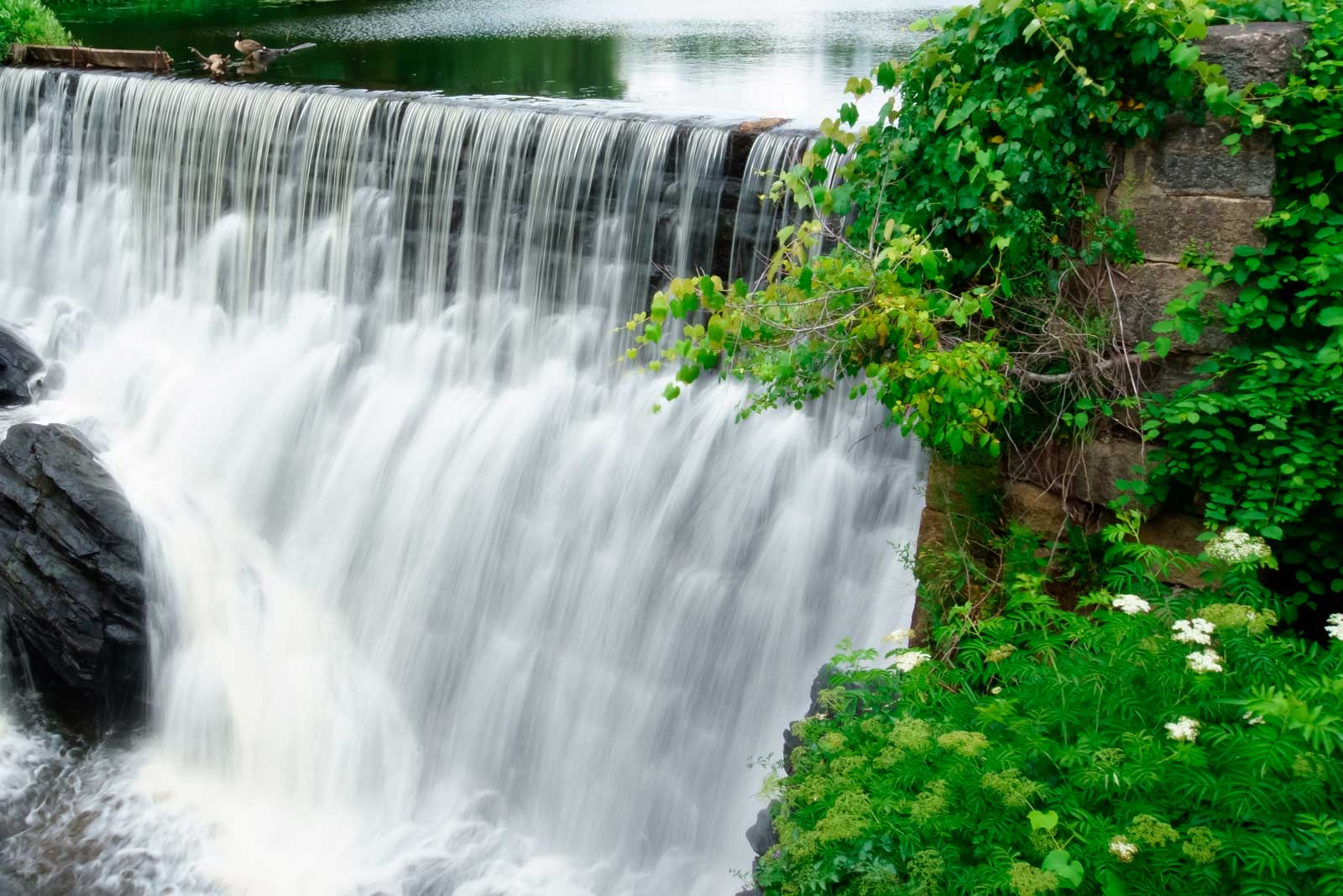 Estate Planning Attorney, Framingham MA Falco and Associates, P.C.